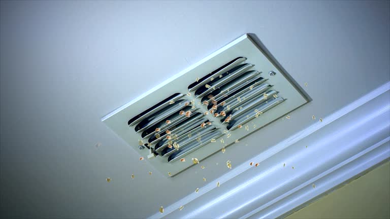 Best Best Air Duct Cleaning Company  in Seabrook, SC