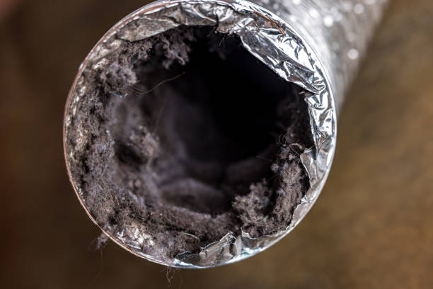 Best HVAC System Cleaning  in Seabrook, SC