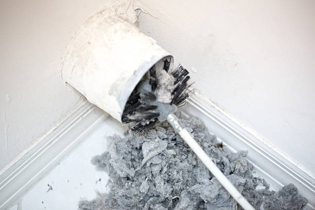 Best Dryer Vent Cleaning Services  in Seabrook, SC